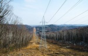 Расчистка просек по цене от 8 000 руб./смена