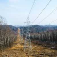 Расчистка просек по цене от 8 000 руб./смена