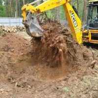 Расчистка участка по цене от от 3 000 руб/сотка