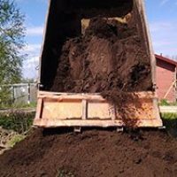 Чернозем по цене от 595 руб/м3
